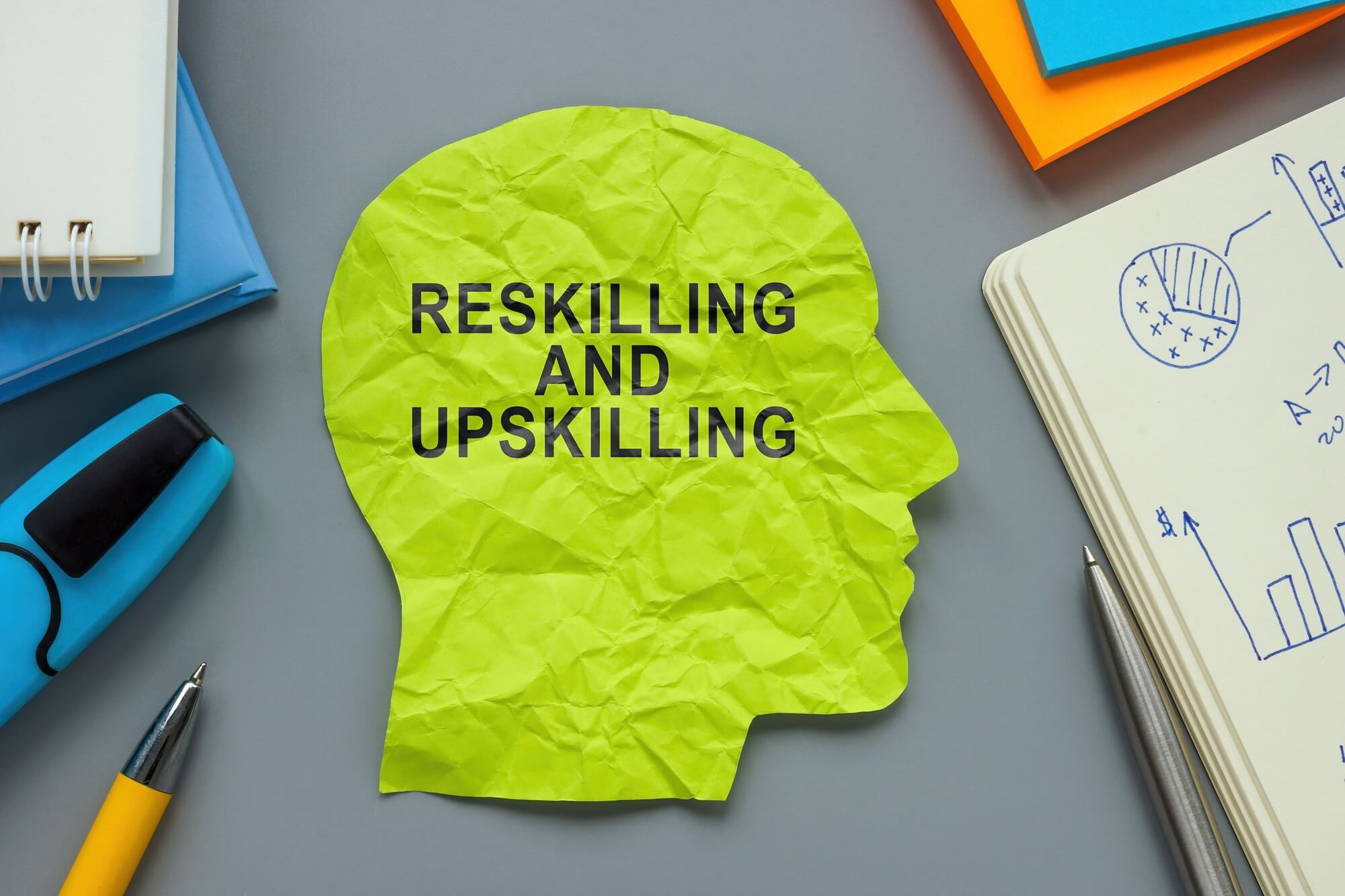 reskilling i upskilling